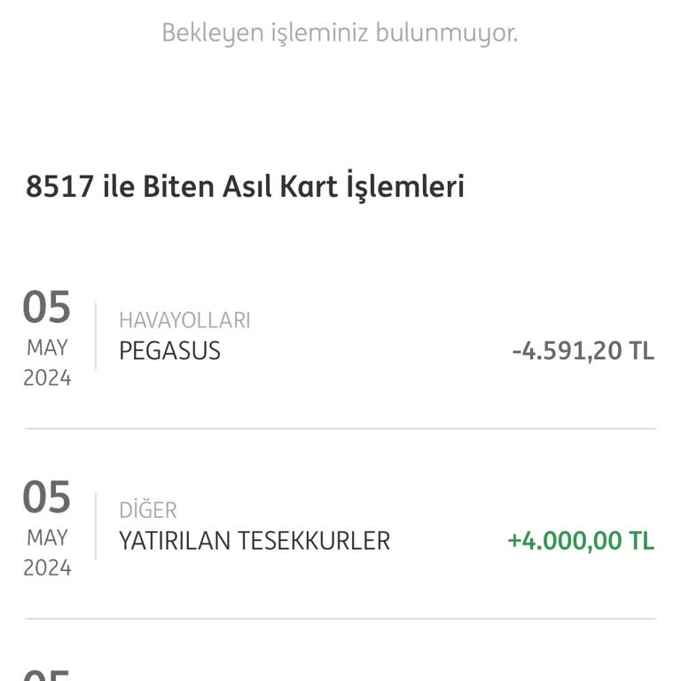 ING Bol Bol Premium Pegasus Kredi Kartı, Bol Bol Puan Vermiyor