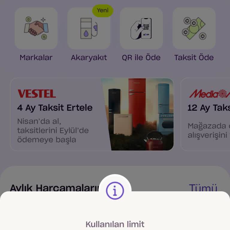 Zip Finansman Zip Kalan Limiti Kullandırmayıp Sıfırlıyor!