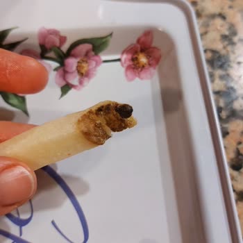 A101 Patatez İçinden Böcek Çıktı