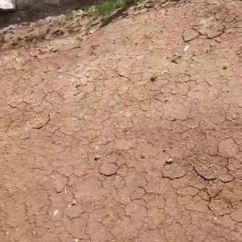 Püskürme Çim Bahçemizde Çimlenme Adına Bir Gelişme Yok!