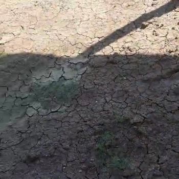 Püskürme Çim Bahçemizde Çimlenme Adına Bir Gelişme Yok!