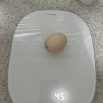 Yemeksepeti Market Ömer Beyin Çiftliği Organik Yumurta M Boy Deniliyor Ama Değil!