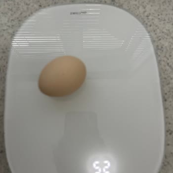 Yemeksepeti Market Ömer Beyin Çiftliği Organik Yumurta M Boy Deniliyor Ama Değil!