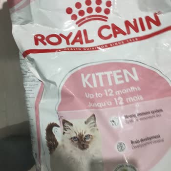 Pet Dünyası Pet Mağazasından Satın Alınan Ürünlerin Kalitesizliği Hakkında Şikayet