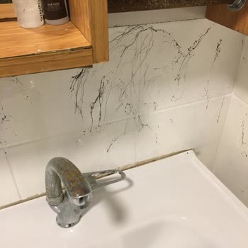 Avist Hotel Avcılar Temizlik Hijyen Sıfır