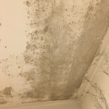 Avist Hotel Avcılar Temizlik Hijyen Sıfır