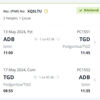 Pegasus Çocuk Yolcu Check İnlerini Farklı Koltuğa Yapmaktadır