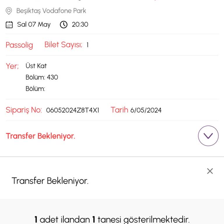 Biletalsat Transfer Süresi