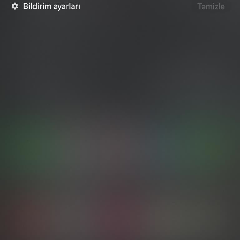 Samsung Türkiye Teknik Destek Sorunu