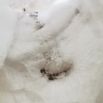 Bestech Roborock Hizmeti Ve Kalitesi