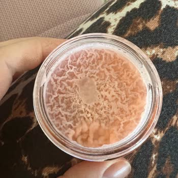 Jowe Kaş Sabitleyici Bakteri Oldu