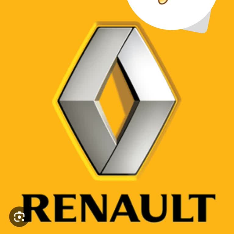 Renault Uzun Randevu Zamanı, Zaman Kayıpları, İlgisizlik