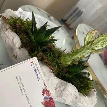 Çiçek Sepeti Aldığım Çiçek Yerine Alakasız Bir Çiçek Göndermiş
