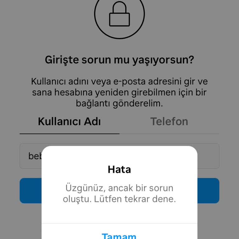 Instagram Şifre Sıfırlama Linki Göndermiyor