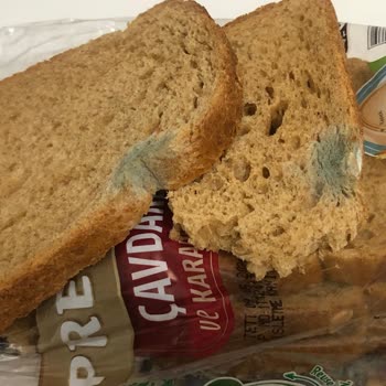 UNO Ekmek Son Kullanma Tarihi Geçmemiş Küflenmiş Ekmek