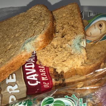 UNO Ekmek Son Kullanma Tarihi Geçmemiş Küflenmiş Ekmek