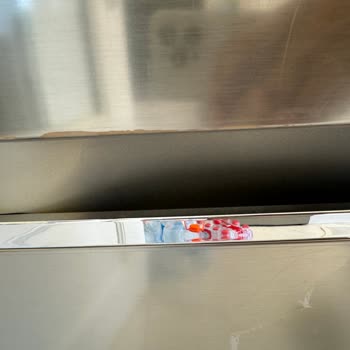 LG Gardırop Tipi Buzdolabı Boya Atması