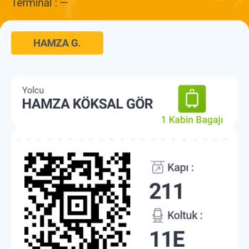 Pegasus'a Bagaj Teslim EDİLEMİYOR, L.