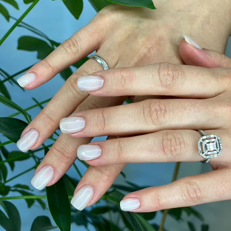 Mk Paris Concept MK Paris Concept