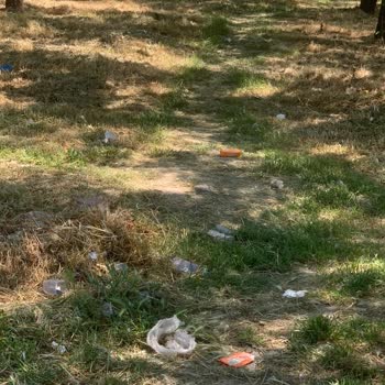 Bornova Belediyesi Karacaoğlan Çöpler Toplanmıyor.