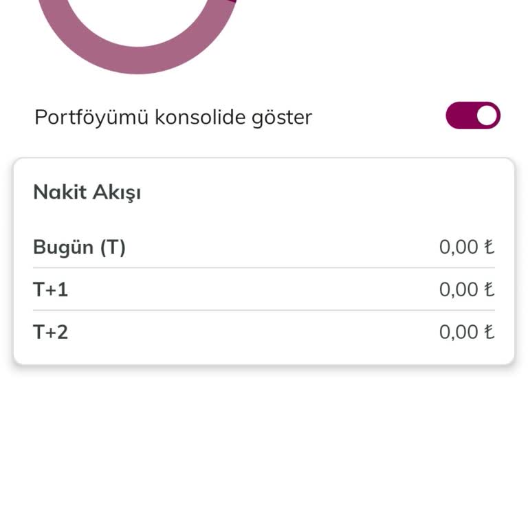 QNB Finansinvest Halka Arz Aldım Görünmüyor
