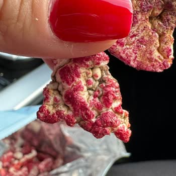 Ebebek Küflü Gıda Satışı