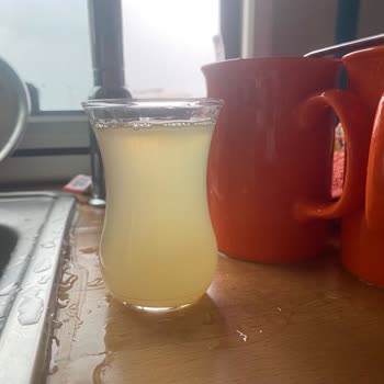 Orkide Yağları Orkide Yağ Kızartma Yaparken Köpürüyor