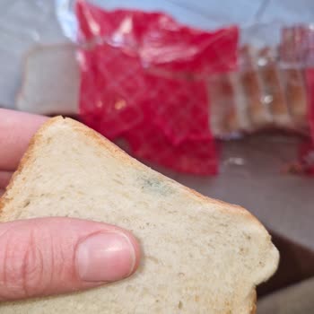 Şok Marketler Sok Markette Ekmekler Küflü