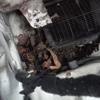 Volkswagen Erel Otomotiv Sunroof Temizlik Yapılmaması