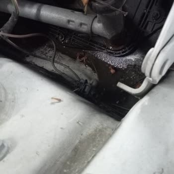 Volkswagen Erel Otomotiv Sunroof Temizlik Yapılmaması