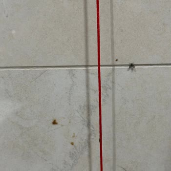 Çam Sakura Genel Cerrahi 4 Hijyen Problemi