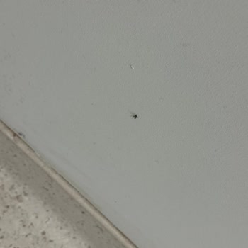 Çam Sakura Genel Cerrahi 4 Hijyen Problemi