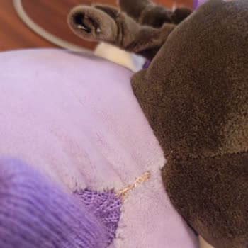 Twigy Müşteri Hizmetleri Anlayışınız Çok Kötü