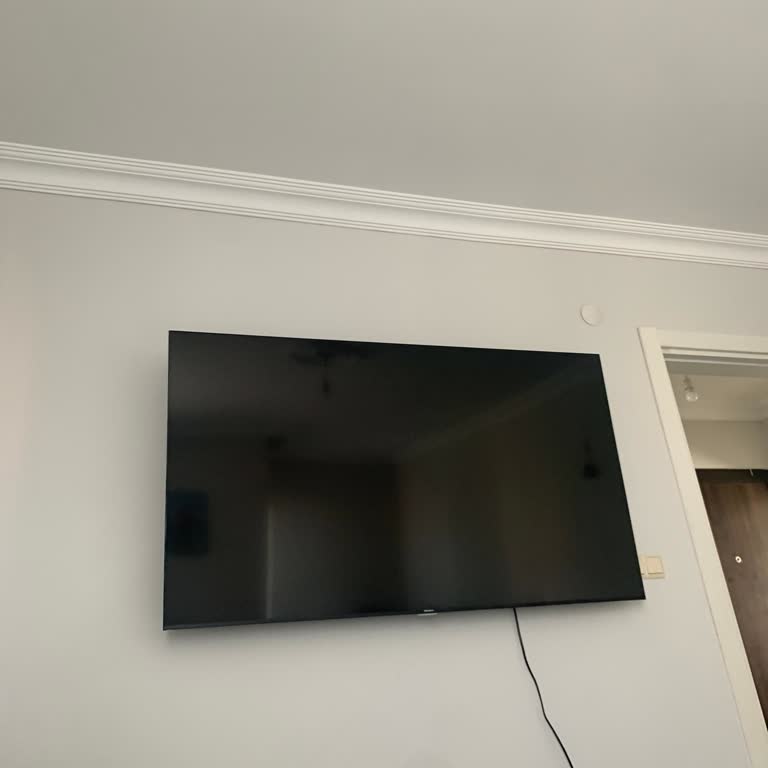 Sunny Televizyon Ana Kart Şikayeti