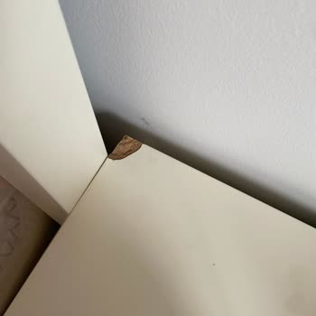 Zarya Kids Mobilya Eksik + Telim Süresi