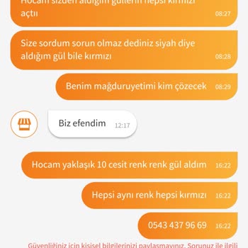 Trendyol Yayla Tarımdan Aldığımız Güller Hepsi Aynı Renk Açtı