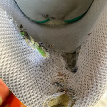 Puma-Schuhe von Deichmann Fersensohle und Innenfutter nach einem Jahr stark abgenutzt