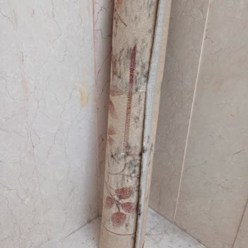 Güven İş Halı Yıkama (Ankara) Halıda Küf Oluşması