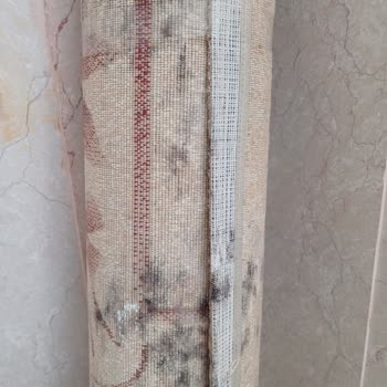 Güven İş Halı Yıkama (Ankara) Halıda Küf Oluşması