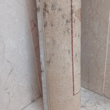 Güven İş Halı Yıkama (Ankara) Halıda Küf Oluşması