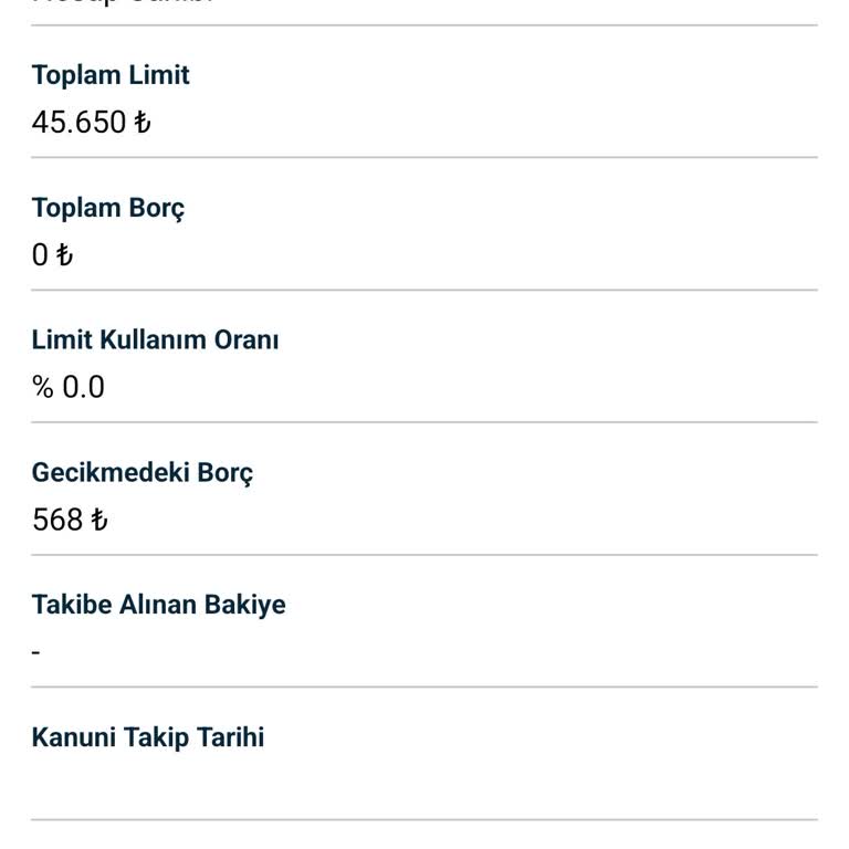 Findeks Borcum Olmamasına Rağmen Gecikmede Borç Görünüyor