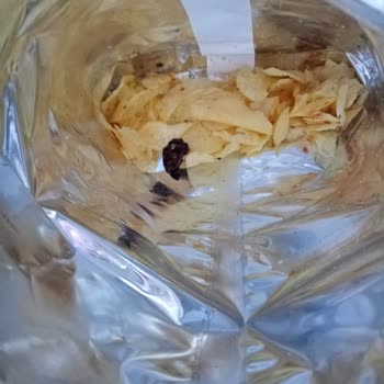 Lays Paketinden Çıkan Siyah Cisim