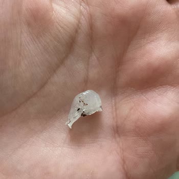 Eker İçinden Çıkan Plastik Silikon