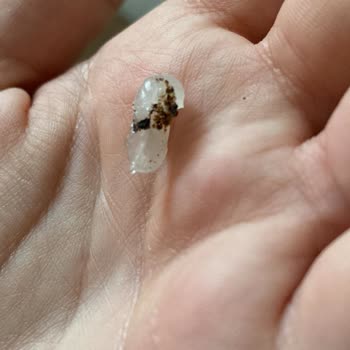 Eker İçinden Çıkan Plastik Silikon