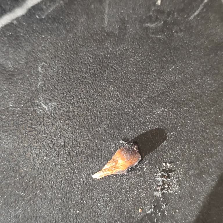 Parliament Sigaradan Talaş Çıkması