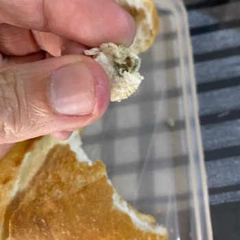 Şok Market Ekmeğinden Kurt Çıktı
