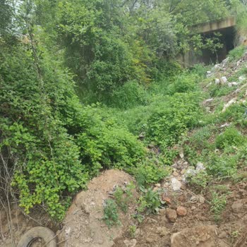 DSİ (Devlet Su İşleri) Akarsu Dere Yatağına Yapılan İnşaat Ve Daralan Dere Yatağı