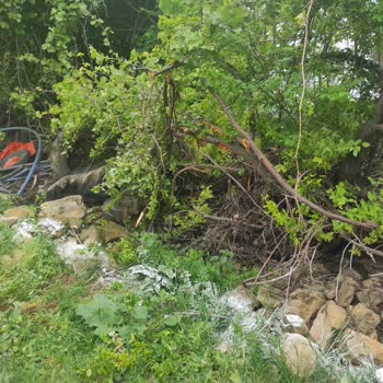 DSİ (Devlet Su İşleri) Akarsu Dere Yatağına Yapılan İnşaat Ve Daralan Dere Yatağı