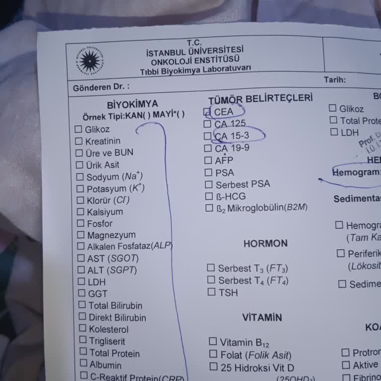 Eşim Kanser Hastası LÖSEV Yardim Etmedi