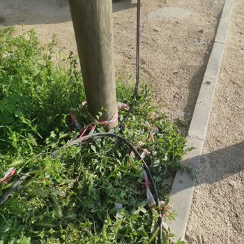 Türk Telekom Kablo Yenileme Arızası